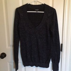 Express V-neck Sweater